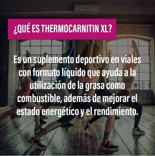 THERMOCARNITIN XL · Quemagrasas · Fat Reduction· POWERGYM