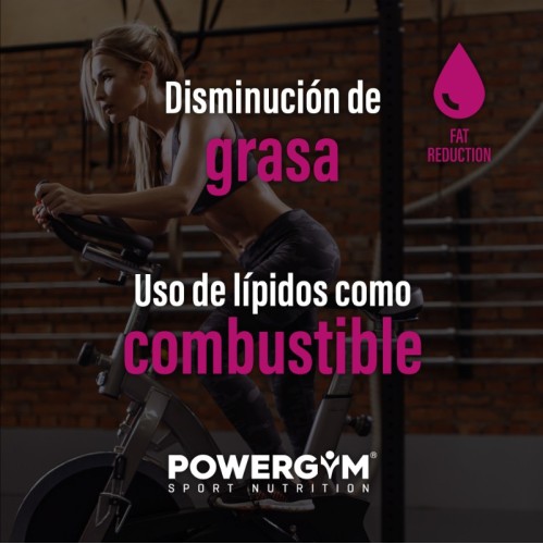 ABDOFIT · Energía a partir de lípidos · Fat reduction · POWERGYM