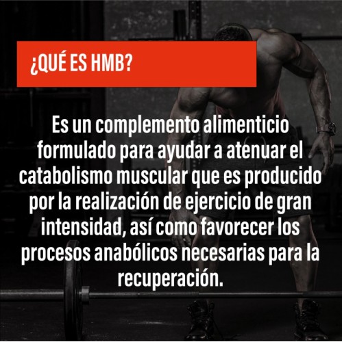 HMB · Evita el desgaste muscular · Muscle Building · POWERGYM