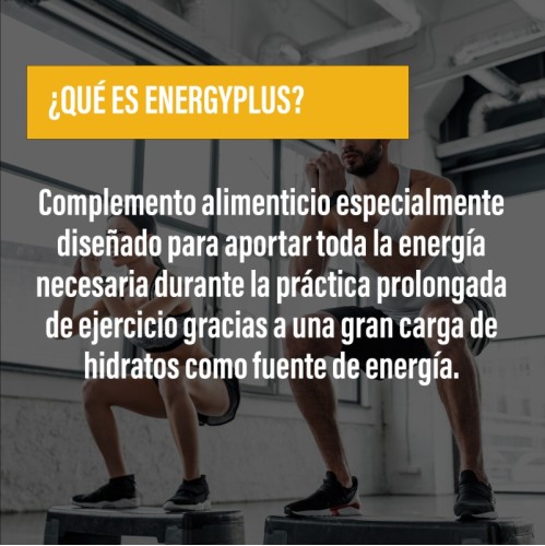 ENERGY PLUS · Carbohidratos · Endurance · POWERGYM