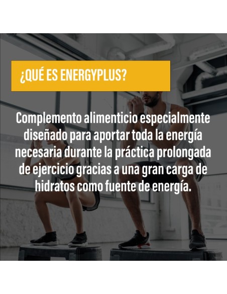ENERGY PLUS · Carbohidratos · Endurance · POWERGYM