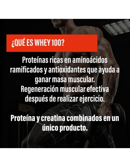 WHEY 100 · Protein with Creatine · Muscle Building · POWERGYM