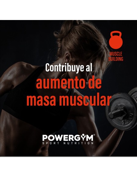 CONCENTRATE WHEY · Proteína suero leche ·  Muscle Building · POWERGYM