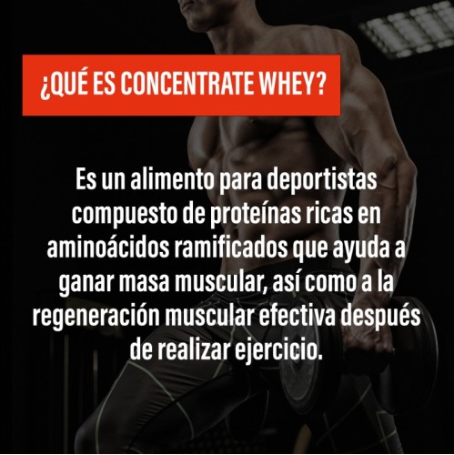 CONCENTRATE WHEY · Proteína suero leche ·  Muscle Building · POWERGYM