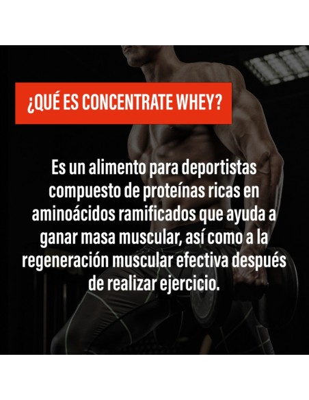 CONCENTRATE WHEY · Basic Whey Protein · Muscle Building · POWERGYM